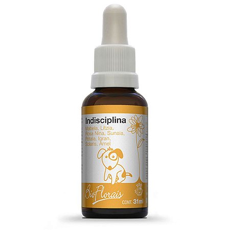 Indisciplina - 31ml