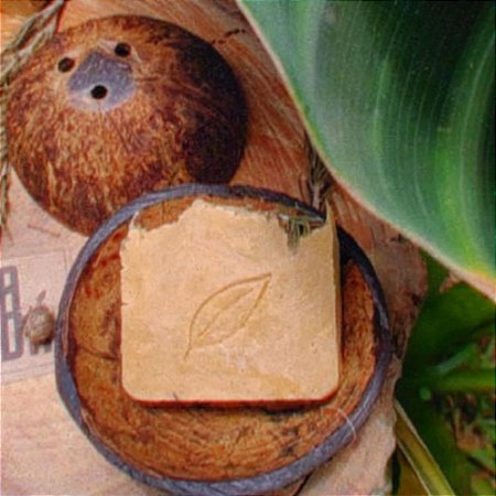 Saboneteira Biodegradável de coco