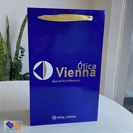 100 Sacolas 24x15x08 (01 Cor Impressão Total)