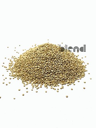 Quinoa Branca em Grão