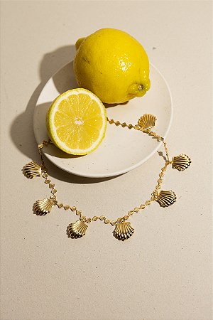 Colar Conchas Gold