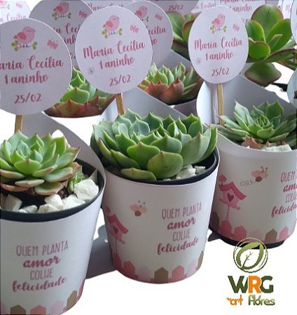 Lembrancinha de suculentas personalizadas