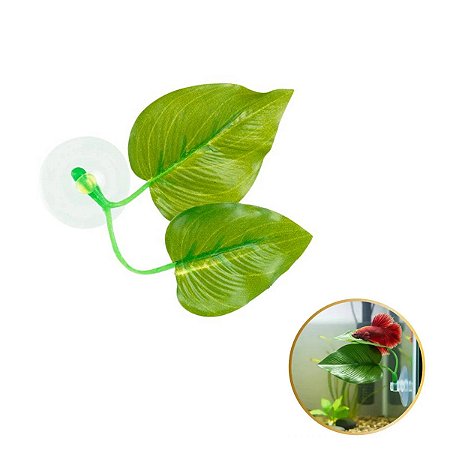 Soma Folha com Ventosa para descando de Bettas (BLV-200)