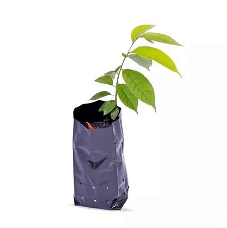Saco Plástico Para Mudas De Plantas 15x20 Cm - 285 Sacos