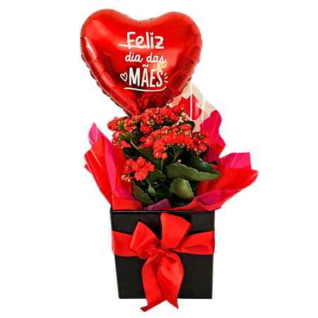 Kalanchoe para Presente com Balãozinho