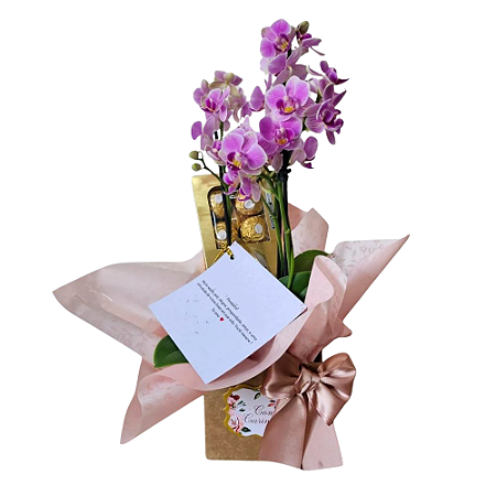 Orquídea Com Chocolate