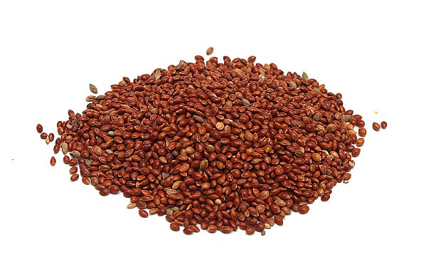 Painço Vermelho 1kg