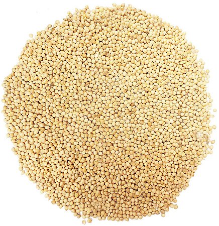 Painco 1kg