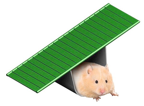 Gangorra para Hamster Cor Sortida