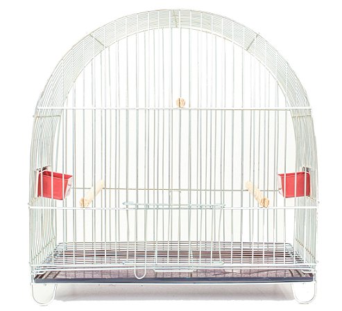 Gaiola N12 Em Arco Zincada Prata