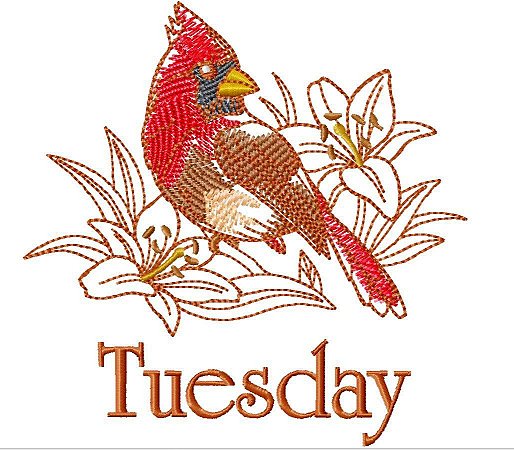 Matriz Bordado Semaninha Em Inglês Com Pássaros