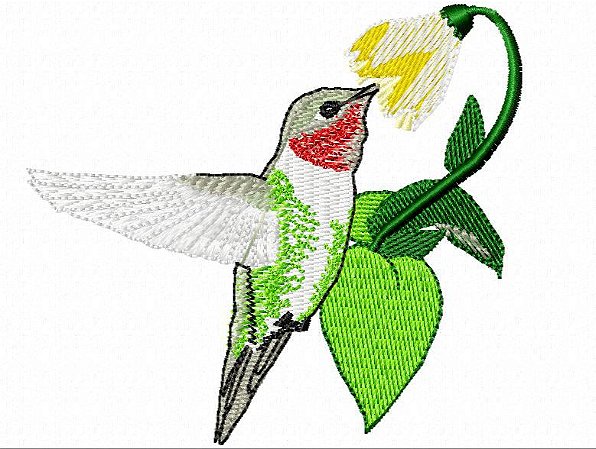 Matriz Bordado Coleção Beija Flor