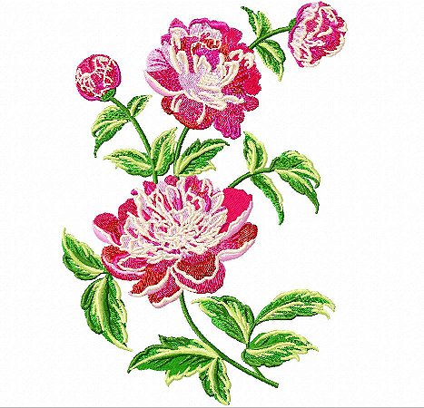 Matriz Bordado Rosas Especiais Com Botão
