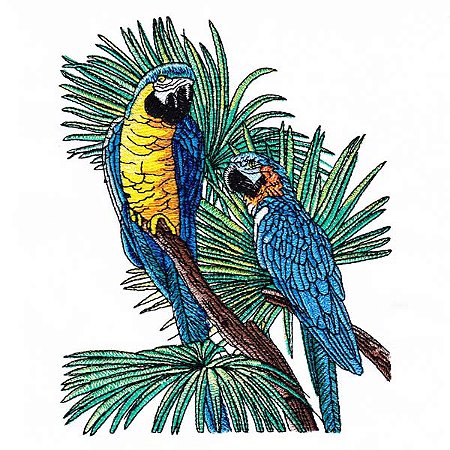 Matriz Bordado Coleção Araras