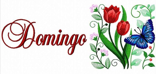 Matriz Bordado Semaninha Borboleta Na Flor