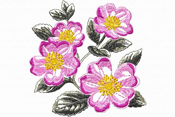 Matriz Bordado Coleção Flores No Jardim