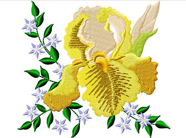 Matriz Bordado Coleção Flor De Iris