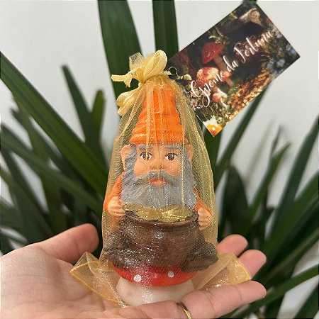 Gnomo da Fortuna