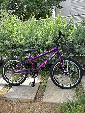 BICICLETA ARO (20) FEMININA COR VIOLETA S/ MARCHA FREIO V-BRAKE COM CESTA MILANO FAST
