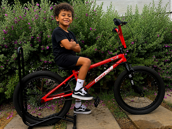 BICICLETA ARO (20) MASCULINA COR VERMELHA METÁLICO S/ MARCHA C/ ROTOR E PEDANA PRO-X SERIE 10