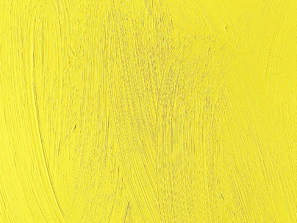 07.t.Tinta a Óleo Amarelo de Cádmio Limão Joules & Joules