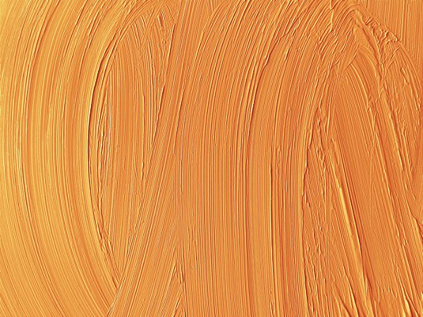 11.t. Tinta a Óleo Laranja de Cádmio Claro Joules & Joules
