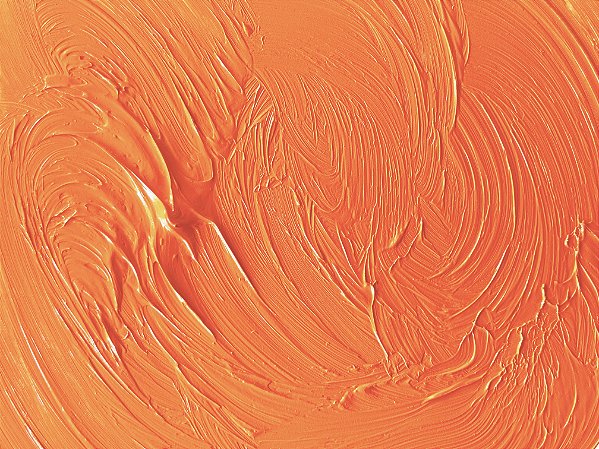 12.t. Tinta a Óleo Laranja de Cádmio Joules & Joules