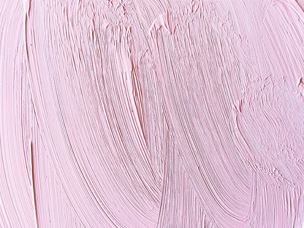 13.m. Tinta a Óleo Rosa Radiante Joules & Joules