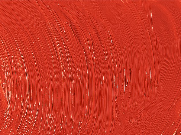 16.t. Tinta a Óleo Vermelho de Cádmio Claro Joules & Joules