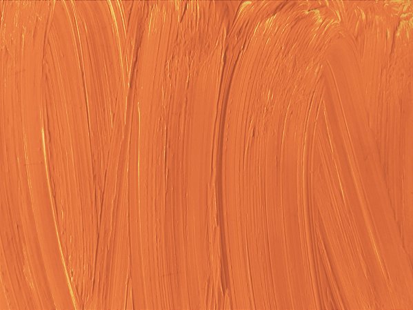 58.t. Tinta a Óleo Laranja Fluorescente Joules & Joules