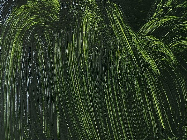 06.m. Tinta a Óleo Verde Vessie Joules & Joules