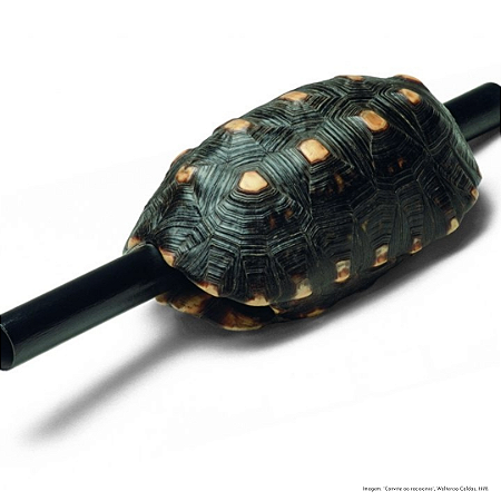 01.c. Orientação Poética e Debate Crítico com José Augusto Ribeiro e Alexandre Canonico