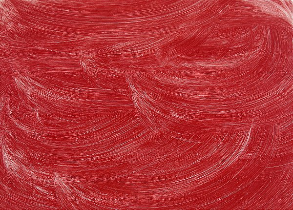 19.t. Tinta a Óleo VERMELHO DE CADMIO PROFUNDO Joules & Joules