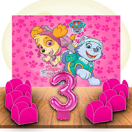 kit festa 52 pçs Decoração patrulha canina Skye e Everest 3