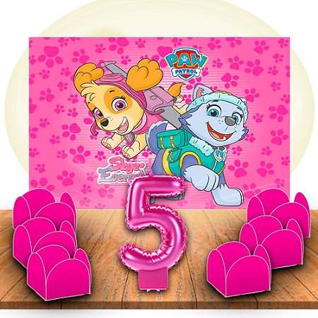 kit festa 52 pçs Decoração patrulha canina Skye e Everest 5