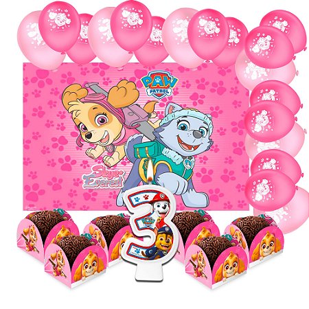 Kit festa Patrulha Canina Rosa Skye Decoração Aniver 77pçs
