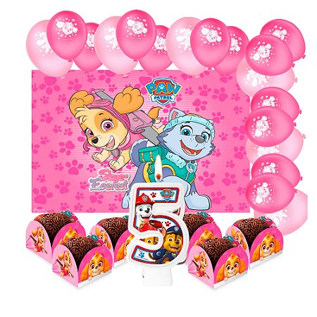 Kit festa Patrulha Canina Rosa Skye Decoração Aniver 5 anos