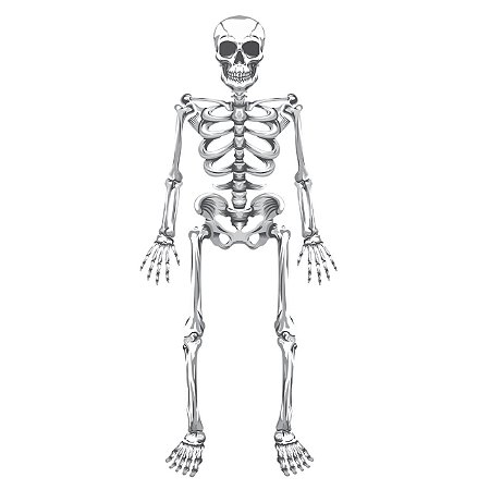 Painel Decoração Halloween Esqueleto Horripilante 101,5m