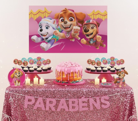 Kit Festa Decoração Patrulha Canina Menina 33pçs Aniversario