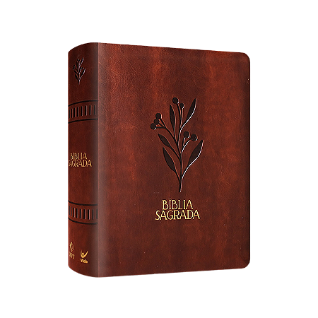 Bíblia Mulheres NVT - Viviane Martinello