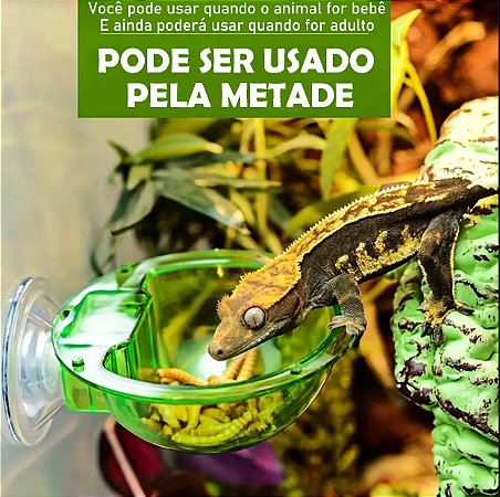 Comedouro ou Bebedouro Suspenso para Animais Arboricolas