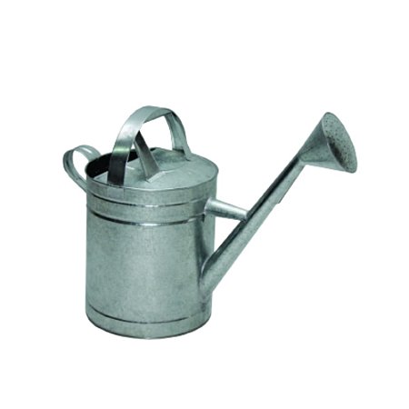 REGADOR 10 LT GALVANIZADO