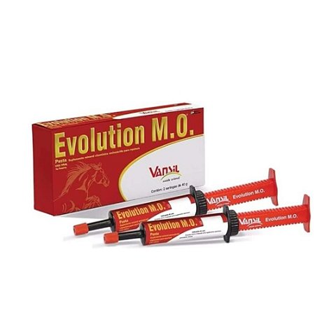 EVOLUTION M.O. SERINGA 40 GR - VANSIL