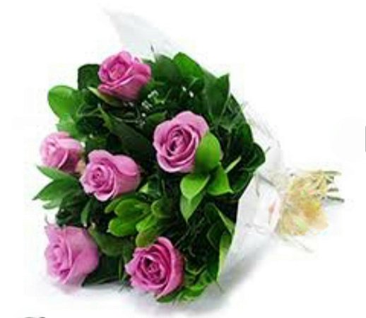 Meia duzia de rosas lílas