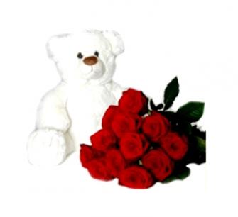 Urso com 12 rosas vermelhas