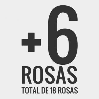+6 rosas, total de 18 rosas