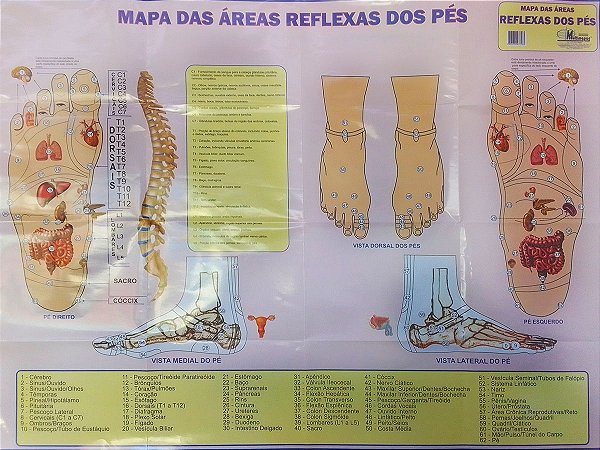 Mapa das Áreas Reflexas dos Pés Para Massagem Ortopedia Fisioterapia MultiMapas Grande 120x90CM