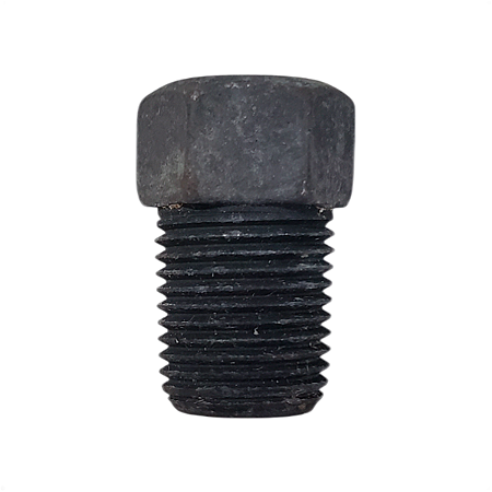 Plug em Aço Caborno 1/8" Macho 12NPS Hexagonal