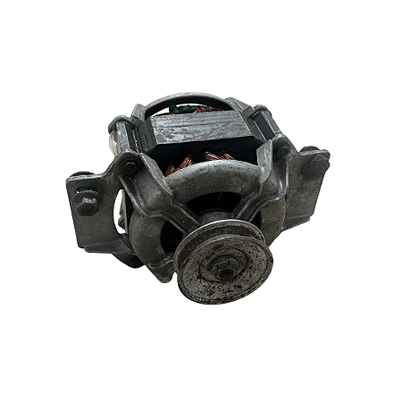Motor Recondicionado Para Tanquinho Mueller 127V 220V