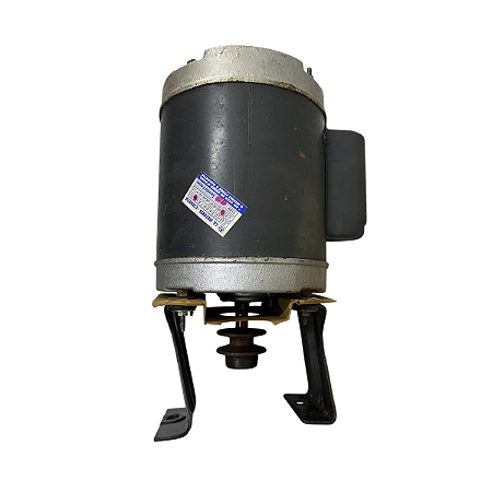 Motor P/ Lava-Roupa Lavínia L6 Prosdocimo 2 Velocidades 220v 944021493